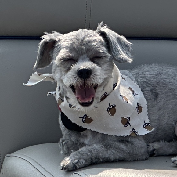 Meet your Posher - Picture 1 of 1